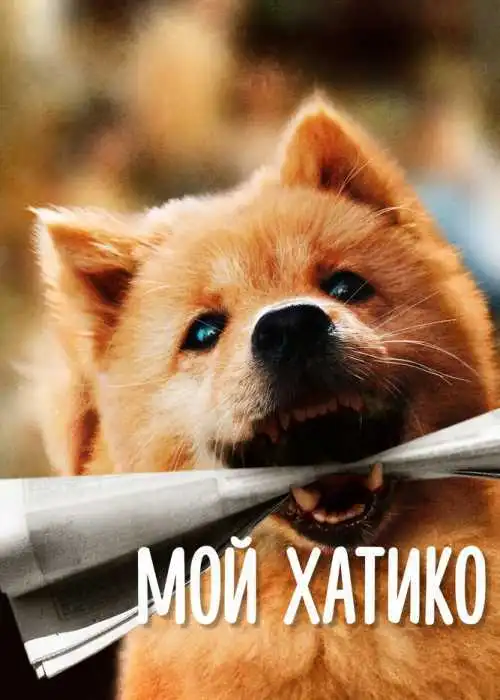 Мой Хатико