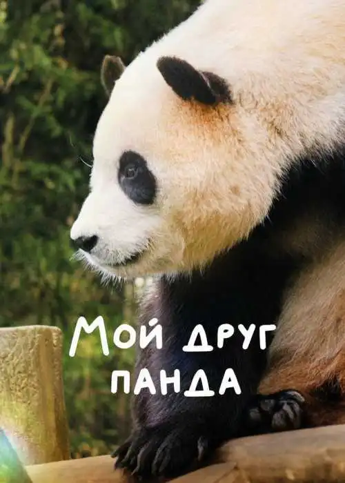 Мой друг панда